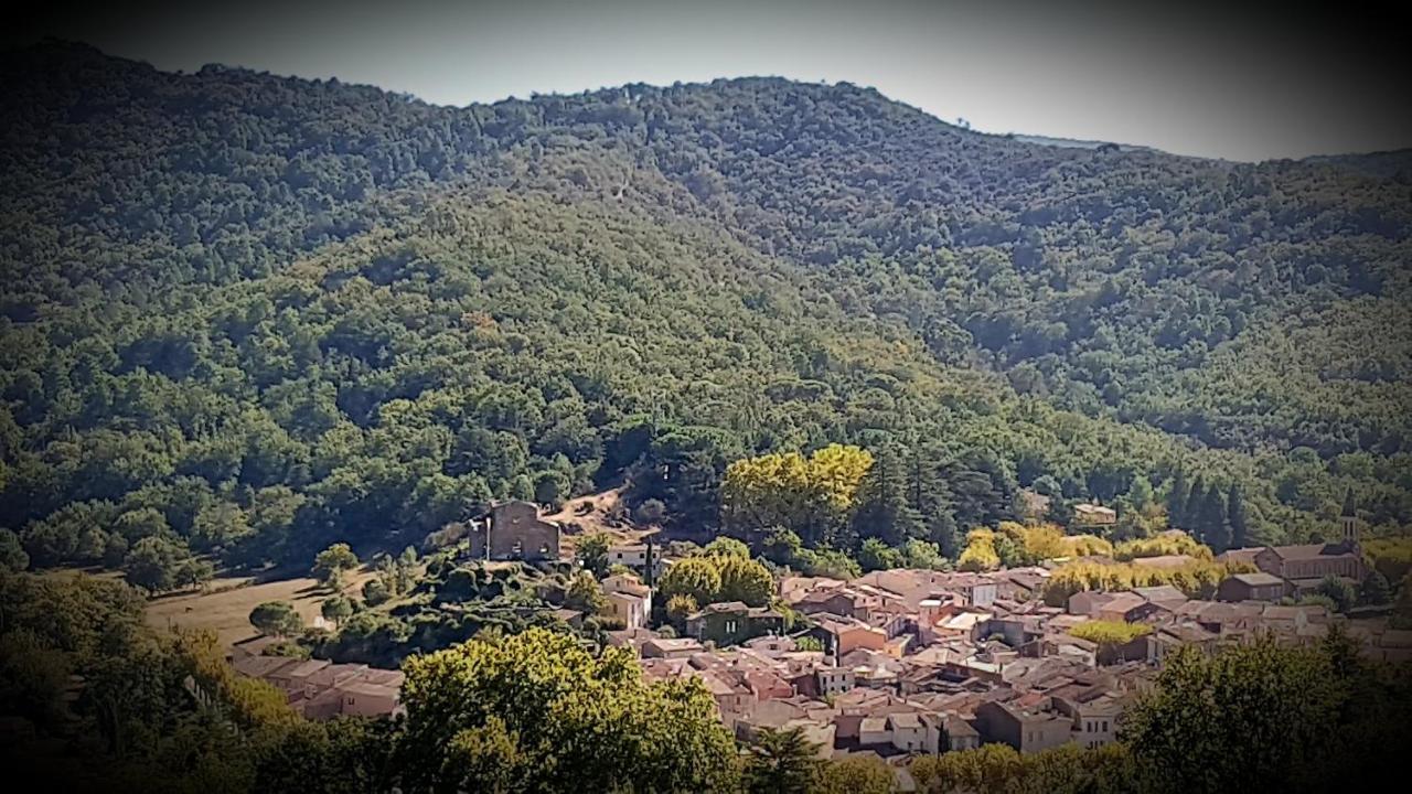 Collobrières Le Nid De Darshan 2 Personnes מראה חיצוני תמונה
